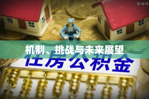 张掖机制、挑战与未来展望