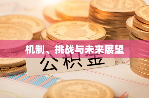 张掖机制、挑战与未来展望